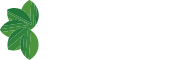 hibabox-logo